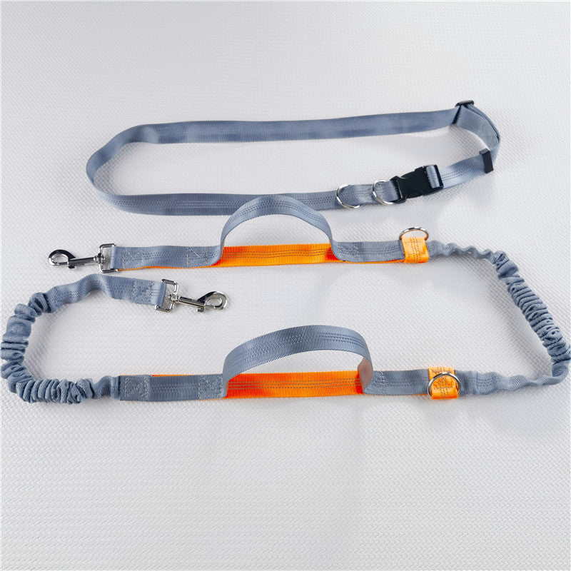 Running Dog Leash