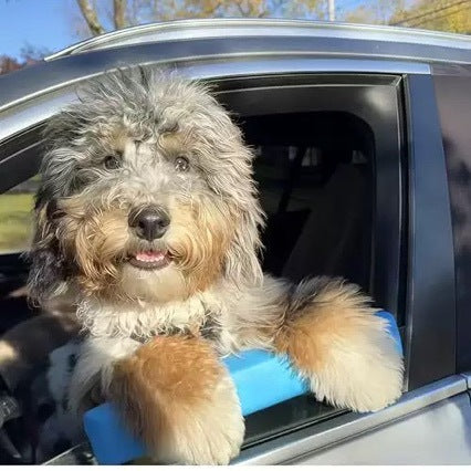 Dog Car Window rest
