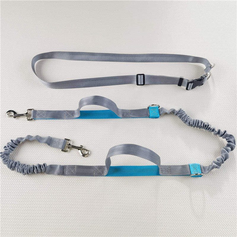 Running Dog Leash