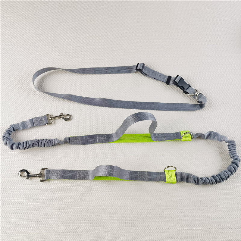 Running Dog Leash
