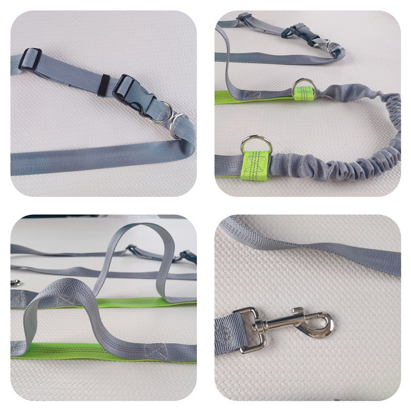 Running Dog Leash