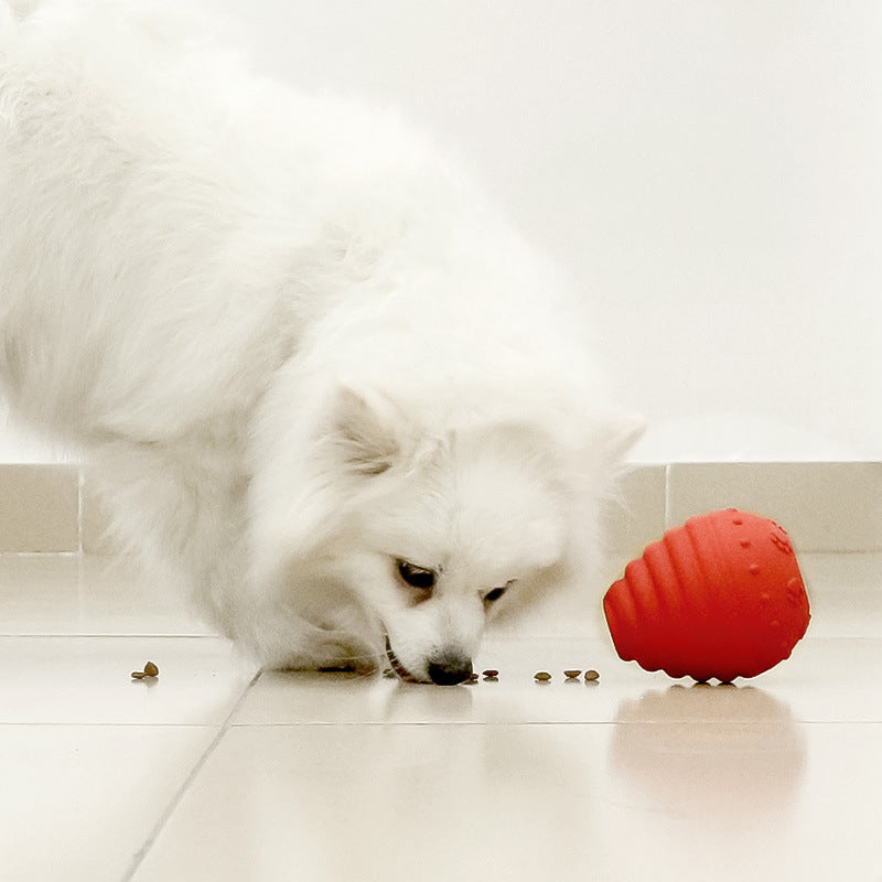 Rubber Chew Toy for Dogs
