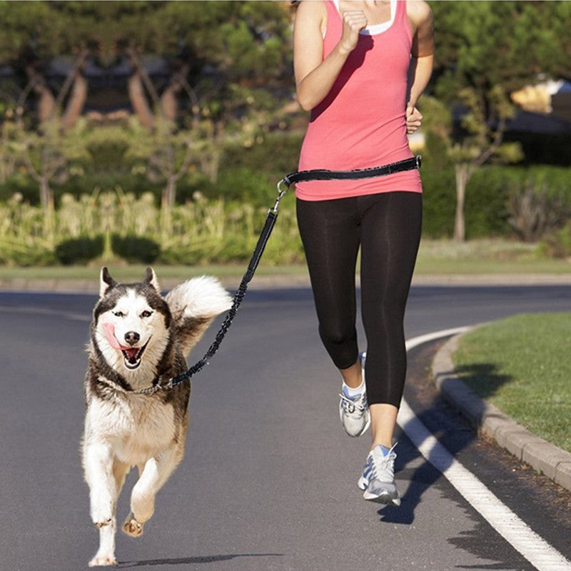 Running Dog Leash